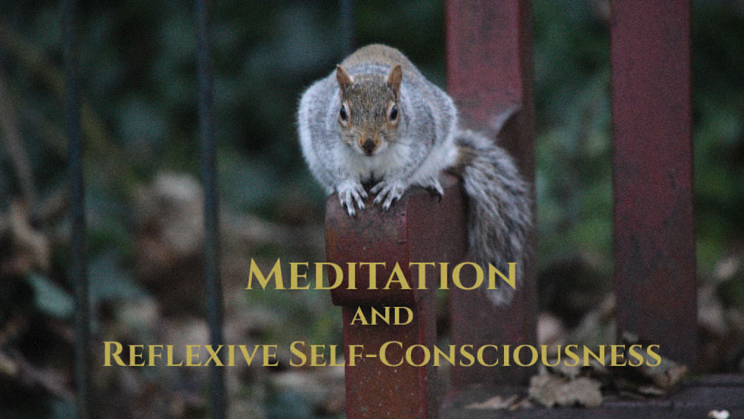 Meditation Steps to Reflexive Self-Consciousness